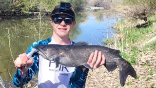 Fishing Utah Lake 2023! New PB Catfish!