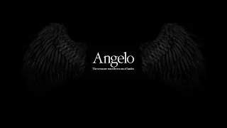 Angelography 2006-2017