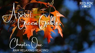 Reading: Anne of Green Gables to you (Chapter 1) 🦊🎶 a raw, pure 'n' relaxing audiobook for all ages