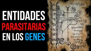 🚫 NOPOR Y FUERZAS OCULTAS EN EL CUERPO Y EN LA MENTE |ENTIDADES PARASITARIAS ORGÁNICAS