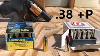 Buffalo Bore v Underwood: The most powerful hard cast 38 Special +P ammo in the world - Ruger LCR 38