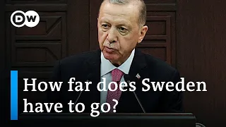 Why Erdogan is still blocking Sweden's NATO bid | DW News