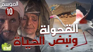✅ Amouddou TV 151 أمودّو / القحولة ونبض الحياة