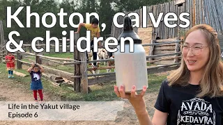 Cowshed, calves and children. Life in the Yakut village. Part 6.