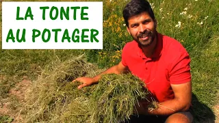 UTILISER LA TONTE AU POTAGER