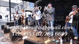 The BOGS: Celtic Rock Compilation (Video)