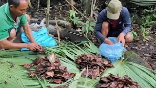 hunting - yos hav zoov txhom ntses hmo kawg - หาปลาสองกินคึนสุดท้าย 27/6/2022