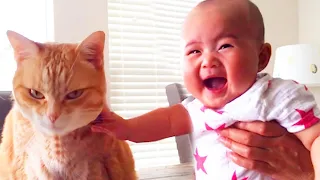 Baby mit Katze lustige und niedliche Momente - Baby und Haustiere Video