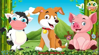 Cute Little Farm Animal Sounds: Pig, Dog, Cow, Rabbit, Chicken - Animals sound
