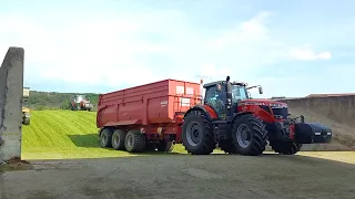 Senáže raž /Rye silage/Rozs silozás 2022 (Agrotrade)