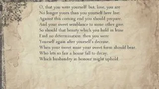 Sonnet 13: O, that you were yourself! but, love, you are