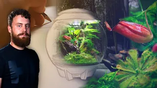 Creating a Stunning CARNIVOROUS PLANT Terrarium | Oase biOrb AIR 30