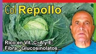 COL REPOLLO 🥦. Propiedades, Beneficios y Cómo Consumirlo 💚