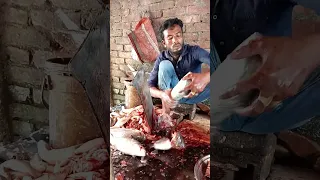 Fish Cutting || Outstanding Rohu Fish Cutting Skills || Part-3 #shorts #short #fh_fish_cutting