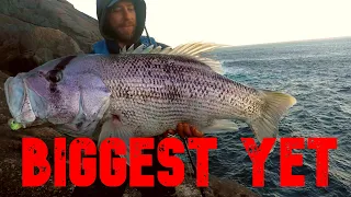 My BIGGEST DHUFISH YET!  EP3