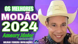 AMAURY JÚNIOR O FERA DO BAILÃO - OS MELHORES MODÃO ATUALIZADO 2024