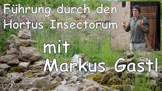 Hortus Insectorum | Führung mit Markus Gastl | Der drei Zonen Garten | Naturgarten | Insektengarten