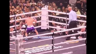 Gervonta Tank Davis Rolly Romero Knockout in Slow Motion