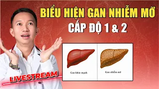 BIỂU HIỆN GAN NHIỄM MỠ CẤP ĐỘ 1 VÀ 2