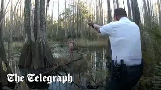 Moment missing 5-year old girl with autism is rescued from swamp