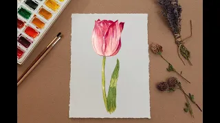 How to paint a watercolour tulip flower