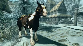 Why you should never be reckless with horses | Skyrim Gameplay Highlights #shorts