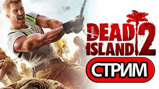 Dead Island 2 -  СТРИМ, ПРОХОЖДЕНИЕ, ОБЩЕНИЕ ЧАСТЬ 2