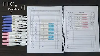 TTC BABY#2 - CYCLE #1 (Ovulation + Pregnancy tests)