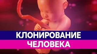 КЛОНИРОВАНИЕ ЛЮДЕЙ. Чем опасно клонирование человека и клонирование животных?