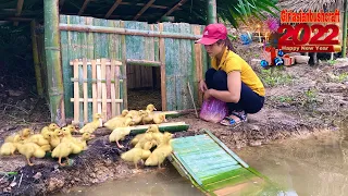 Asian girl builds a duck house to prepare for next year's winter plan