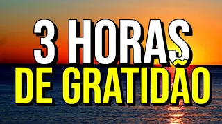 3 HORAS DE GRATIDÃO PARA ABENÇOAR O DIA | Áudio com Afirmações Positivas da Lei da Atração