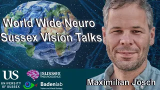 World Wide Neuro | Sussex Vision Series - 07/03/2022 - Pr. Maximilian Joesch