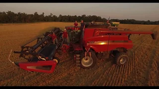 2018 Wheat Harvest