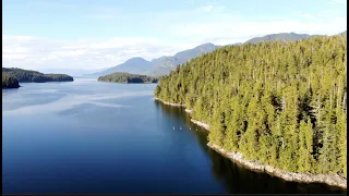 Discover Canada's Great Bear Rainforest