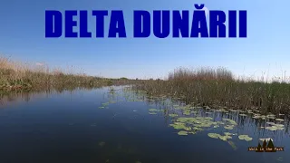 Waterworld - DANUBE DELTA boat trip / Delta Dunării