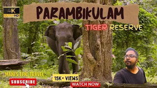 4K UHD | Parambikulam Tiger Reserve | Forest Stay | Trekking