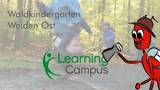 Die Waldameisen - Waldkindergarten Weiden Ost | LearningCampus