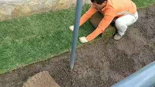 How to lay a lawn for 4 hours?