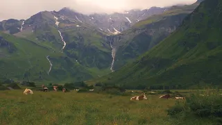 12 Hours in the Alps - Cattle Sounds, Birds, Nature, Relaxing