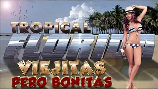 VIEJITAS PERO BONITAS (Tropical Florida)