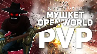 New World Мушкет Рапира ПвП | Open World PvP Musket