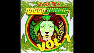 RAGGA JUNGLE IS MASSIVE VOL 1 MIXED BY DJ STP