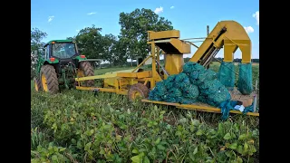 The Reality of Vegetable Farming