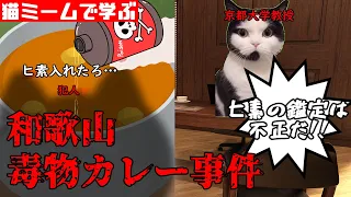 猫ミームで学ぶ和歌山毒物カレー事件 #猫マニ #猫ミーム