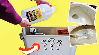 Put VINEGAR into your TOILET and WATCH What Happens!! (Bathroom Cleaning Hacks)