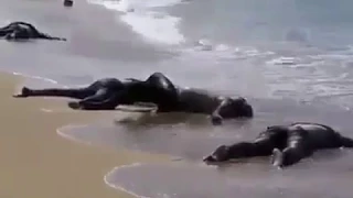 Réfugiés noyés en mer méditerranée.