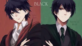 Sirius & Regulus Black - Dynasty