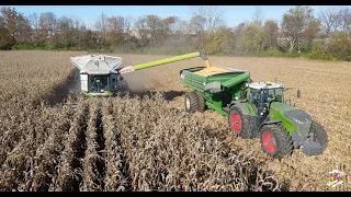 2023 CORN HARVEST near Eaton Ohio | Claas Lexion Combine & Fendt Trac tor