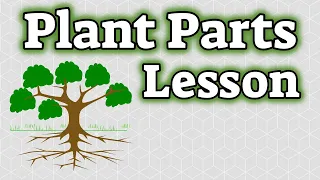 Plant Parts and their Functions | Classroom Video Edition