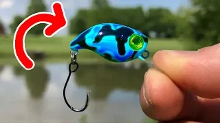 MICRO Crankbait Catches a MONSTER!!! - You WON'T Believe What I Caught!